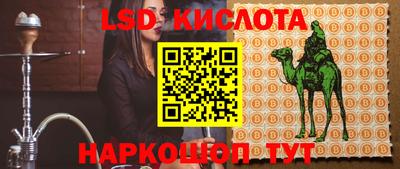 таблы Новозыбков