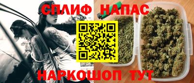 СК Новокубанск