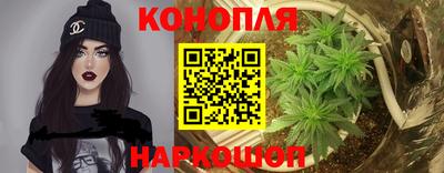 СК Новокубанск