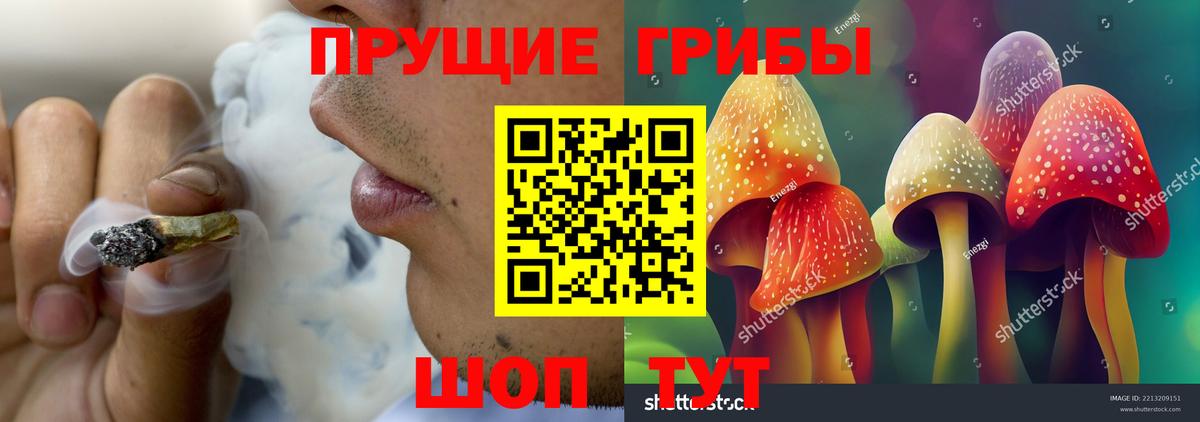 Псилоцибиновые грибы мухоморы  Вход с VPN  Старая Купавна 